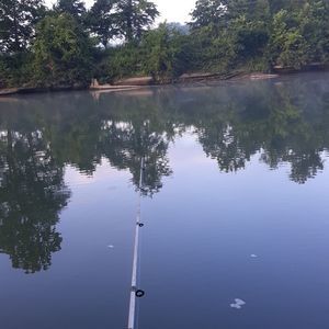 Meet your Posher, Randy